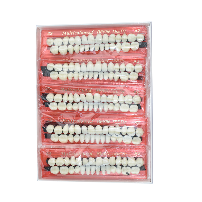 28 Teeth Dental Resin Denture  - Dental 3D Printer Resin recension och pris