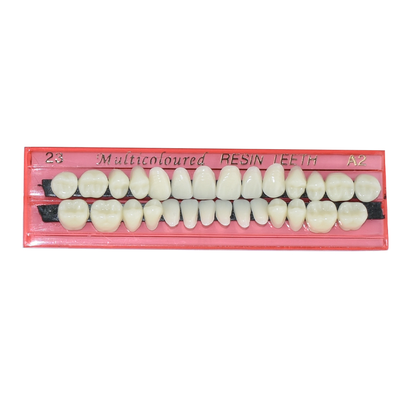28 Teeth Dental Resin Denture  - Dental 3D Printer Resin recension och pris