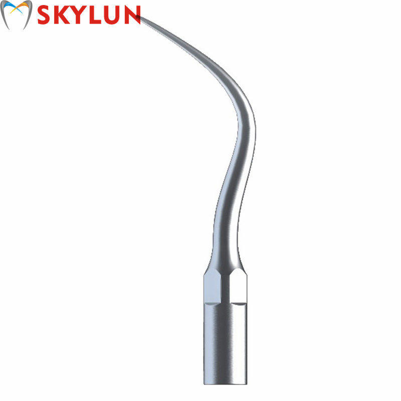5PCS P4 Dental Ultrasonic Scal - Dental Ultrasonic Scaler recension och pris